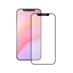 Apple iPhone 12 Mini ekraanikaitseklaas цена и информация | Защитные пленки для телефонов | kaup24.ee
