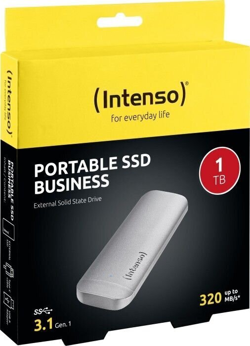 INTENSO 1TB USB-C 3824460 hind ja info | Välised kõvakettad (SSD, HDD) | kaup24.ee