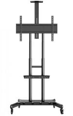 Multibrackets Public Floorstand Basic 180 55-80” цена и информация | Кронштейны и крепления для телевизоров | kaup24.ee