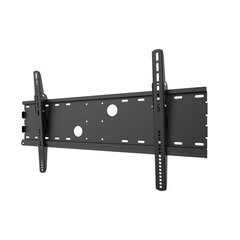 Teleri seinakinnitus, Newstar PLASMA-W100BLACK wall mount цена и информация | Кронштейны и крепления для телевизоров | kaup24.ee