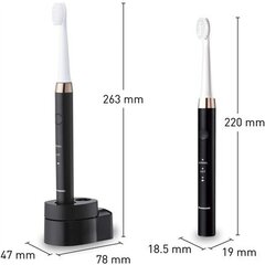 Panasonic Electric Toothbrush EW-DM81-K503 Rechargeable, For adults, Number of brush heads included 2, Number of teeth brushing hind ja info | Elektrilised hambaharjad | kaup24.ee