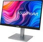 Asus ProArt Display Professional Monitor PA247CV 23.8 , IPS, Full HD, 1920x1080, 16:9, 5 ms, 300 cd цена и информация | Monitorid | kaup24.ee