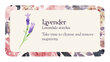 Taro kaardid Inspirational Flower Petals hind ja info | Esoteerika | kaup24.ee