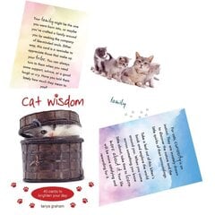 Taro kaardid Cat Wisdom hind ja info | Esoteerika | kaup24.ee