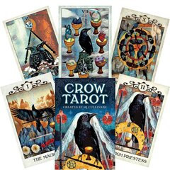 Taro kaardid Crow цена и информация | Эзотерика | kaup24.ee