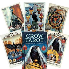 Карты Таро Crow цена и информация | Эзотерика | kaup24.ee