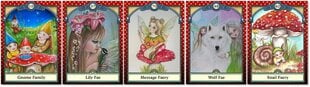 Taro kaardid Faery Magic Message hind ja info | Esoteerika | kaup24.ee