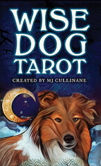 Taro kaardid Wise Dog hind ja info | Esoteerika | kaup24.ee