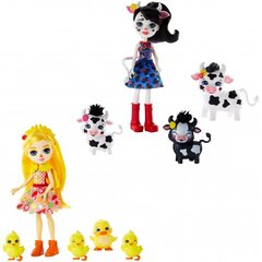 Komplekt Enchantimals Loomade perekond hind ja info | Tüdrukute mänguasjad | kaup24.ee