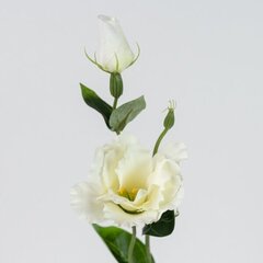 Kunstlik eustoma oksake hind ja info | Kunstlilled | kaup24.ee