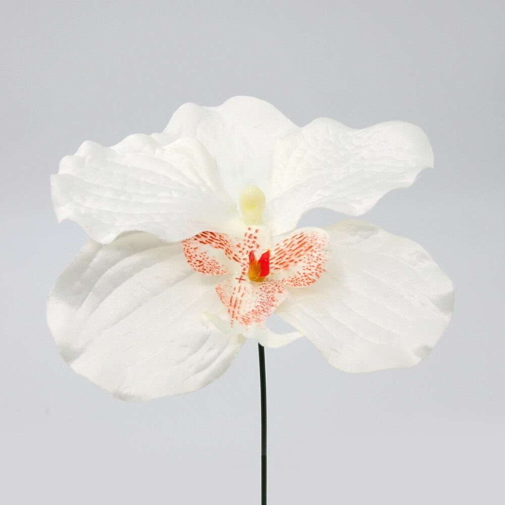 Kunstlill orhidee, 5 tk hind ja info | Kunstlilled | kaup24.ee