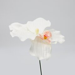 Kunstlill orhidee, 5 tk цена и информация | Искусственные цветы | kaup24.ee