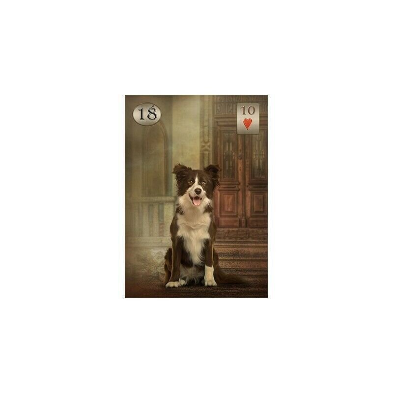 Taro kaardid Thelema Lenormand hind ja info | Esoteerika | kaup24.ee