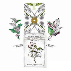 Taro kaardid Hedgewitch Botanical Oracle hind ja info | Esoteerika | kaup24.ee