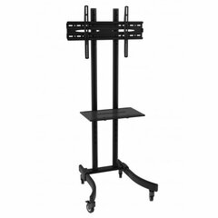 Meediaalus TECHLY TV stand 32-70inch 40KG цена и информация | Кронштейны и крепления для телевизоров | kaup24.ee