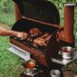 GrillSymbol BBQ suitsuahi Smoky Beast цена и информация | Suitsuahjud, tarvikud | kaup24.ee