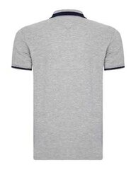 Мужская футболка поло Tommy Hilfiger цена и информация | Футболка женская | kaup24.ee