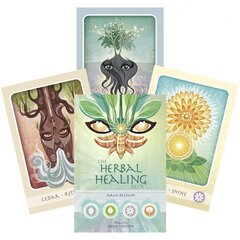 Карты Таро Herbal Healing Deck цена и информация | Эзотерика | kaup24.ee