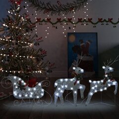 vidaXL põhjapõder saaniga, jõulukaunistus, 60 LEDi, õue, hõbedane цена и информация | Декорации | kaup24.ee