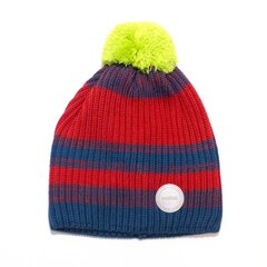 Poiste talvemüts Reima, sinine / punane hind ja info | Laste talveriided | kaup24.ee