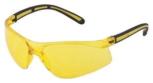 Защитные очки Ardon M8200 цена и информация | Защита головы | kaup24.ee