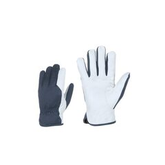Рабочие перчатки, размер 10 цена и информация | Рабочие перчатки | kaup24.ee