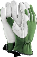 Перчатки утепленные RMC-Wintree цена и информация | Рабочие перчатки | kaup24.ee
