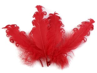 Кудрявое гусиное перо, ярко-красное, 13-18 см, 20 шт. цена и информация | Аппликации, декорации, наклейки | kaup24.ee