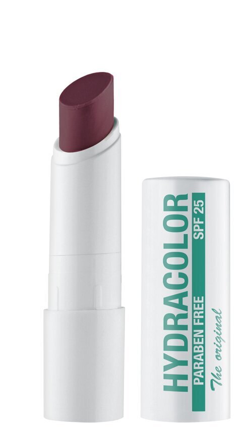 Huulepalsam Deborah Milano Hydracolor 2.5 g, Nr. 47 цена и информация | Huulepulgad, -läiked, -palsamid, vaseliin | kaup24.ee