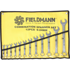 Плоские гаечные ключи Fieldmann FDN 1010, 12 частей цена и информация | Механические инструменты | kaup24.ee