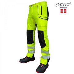 Softshell штаны Pesso Nebraska_G цена и информация | Рабочая одежда | kaup24.ee