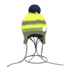 Reima poiste talvemüts, roheline цена и информация | Зимняя одежда для детей | kaup24.ee