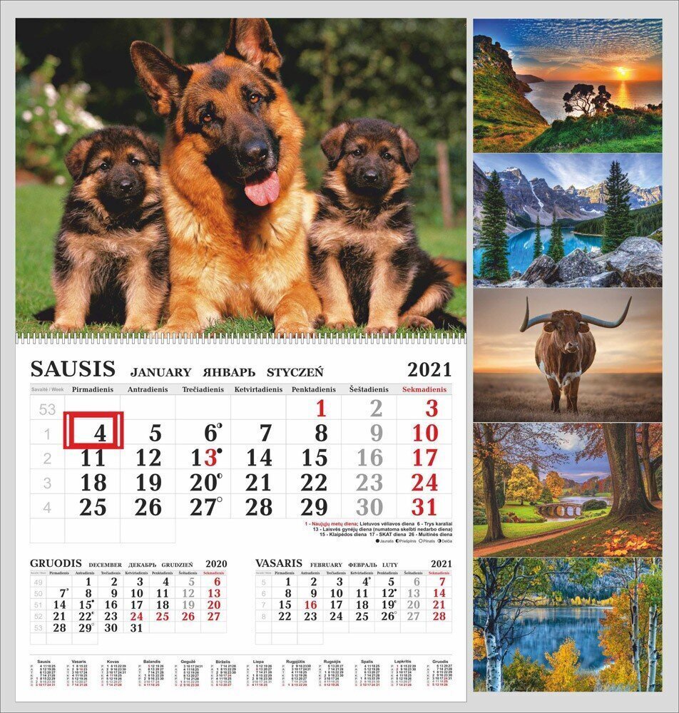 2021. aasta riputatav kalender hind ja info | Kalendrid, märkmikud | kaup24.ee