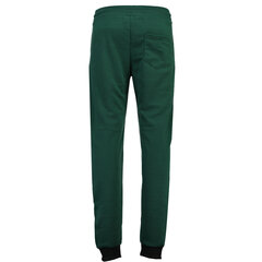 Спортивные брюки для мальчиков Geographical Norway Moton, зеленые цена и информация | Шорты для мальчиков | kaup24.ee