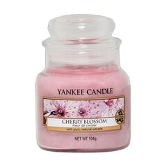 Yankee Candle Cherry Blossom Candle - Scented candle 104.0g hind ja info | Küünlad, küünlajalad | kaup24.ee