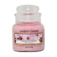 Yankee Candle Mööbel ja sisustus internetist