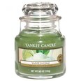 Lõhnaküünal Yankee Candle Vanilla Lime, 104 g