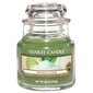 Lõhnaküünal Yankee Candle Vanilla Lime, 104 g hind ja info | Küünlad, küünlajalad | kaup24.ee