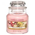 Lõhnaküünal Yankee Candle Fresh Cut Roses, 104 g