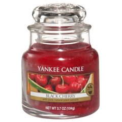 Lõhnaküünal Yankee Candle Black Cherry, 104 g цена и информация | Подсвечники, свечи | kaup24.ee