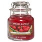 Lõhnaküünal Yankee Candle Black Cherry, 104 g цена и информация | Küünlad, küünlajalad | kaup24.ee