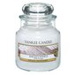 Lõhnaküünal Yankee Candle Angel Wings, 105 g цена и информация | Küünlad, küünlajalad | kaup24.ee