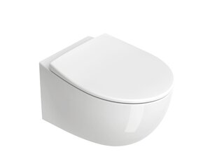 Seinapealne wc pott Calalano ITALY NF 52 hind ja info | WС-potid | kaup24.ee