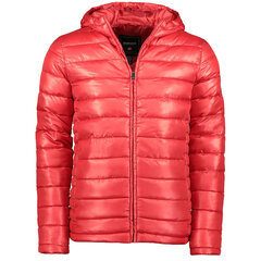 Куртка мужская Anapurna Calender, красная цена и информация | Мужские куртки | kaup24.ee