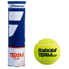 Tennisepallid Babolat Team Clay (4 tk) цена и информация | Товары для большого тенниса | kaup24.ee