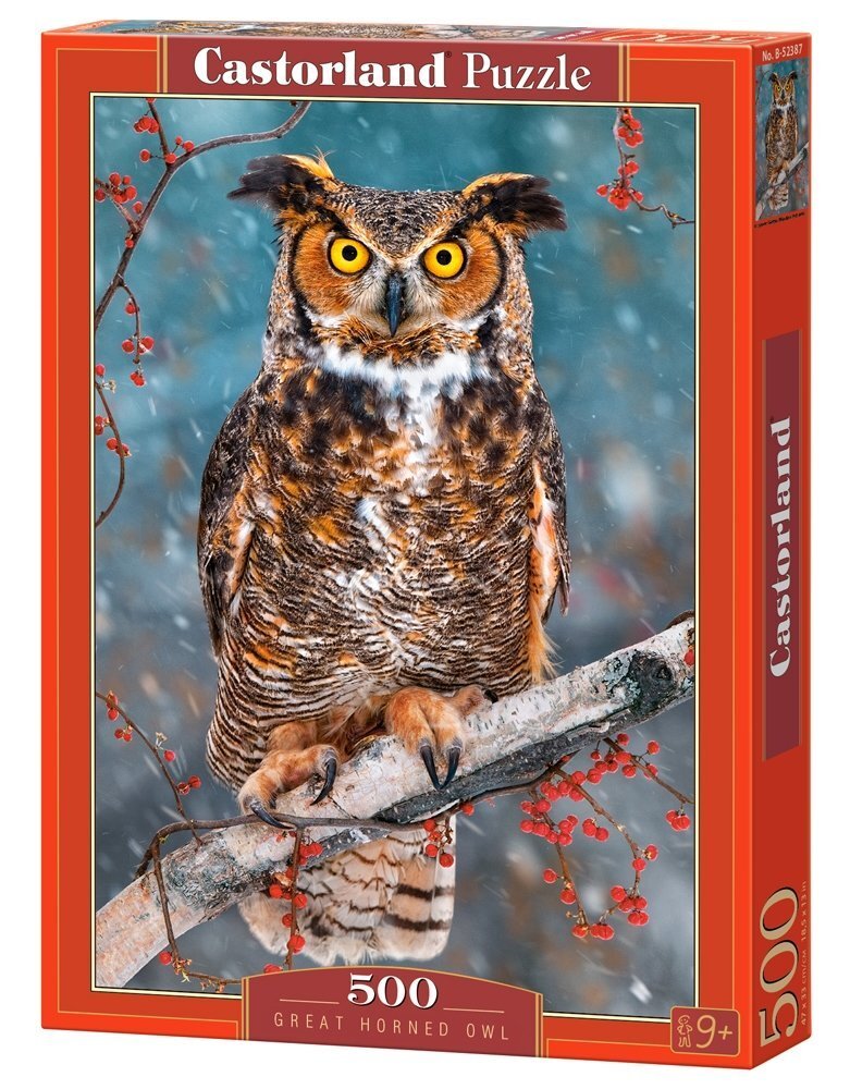 Pusle Castorland Great Horned Owl, 500 osaline цена и информация | Pusled | kaup24.ee