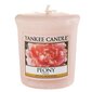 Lõhnaküünal Yankee Candle Peony​ цена и информация | Küünlad, küünlajalad | kaup24.ee