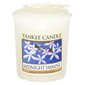 Yankee Candle Midnight Jasmine - Aromatic votive candle 49.0g hind ja info | Küünlad, küünlajalad | kaup24.ee