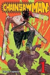 Chainsaw Man, Vol. 1 цена и информация | Романы | kaup24.ee