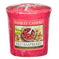 Yankee Candle Red Raspberry lõhnaküünal 49 g цена и информация | Подсвечники, свечи | kaup24.ee
